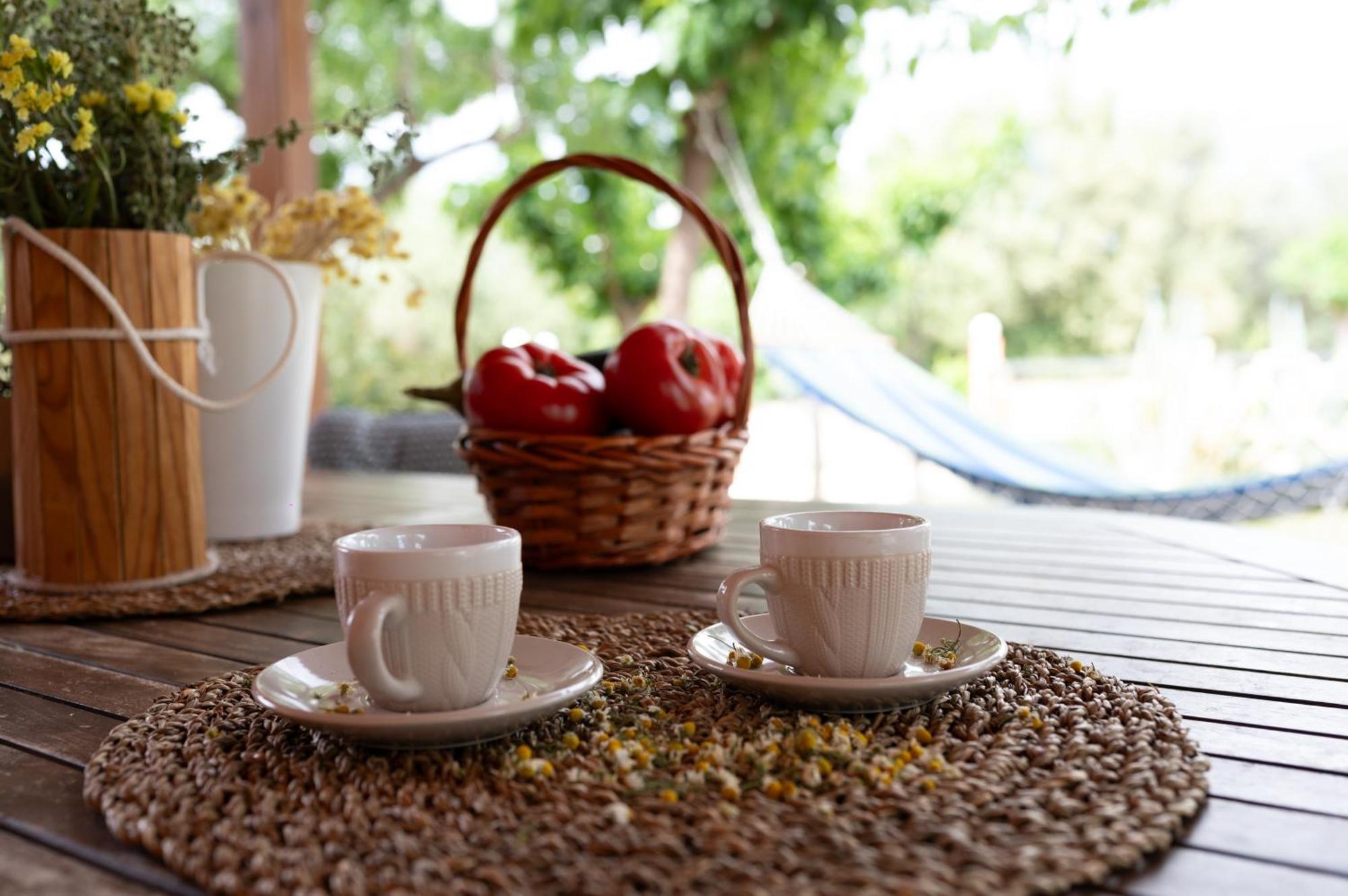Country house Agrotospita Country